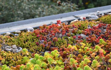 the cost of Burstock green roof installation