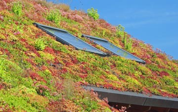 Burstock living roof systems
