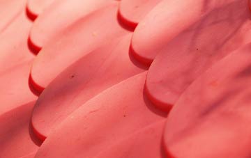 Burstock plastic roof costs