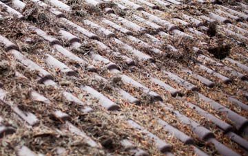 Burstock roof cleaning companies