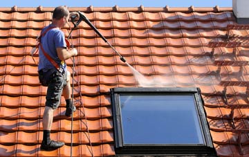 roof cleaning Burstock, Dorset