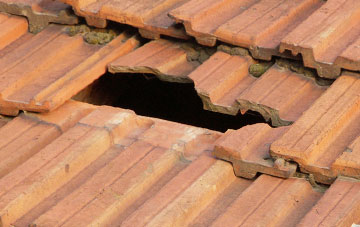 roof repair Burstock, Dorset