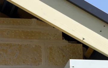 soffit repair Burstock