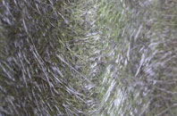 Burstock fibreglass roof work