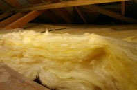 Burstock pitch roof insulation